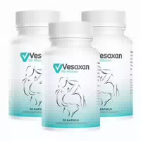 Vesaxan für Männer | Vitalität & Performance | ohne Chemie | Hochdosiert
