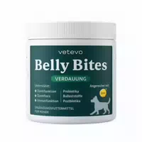Belly Bites 2 0