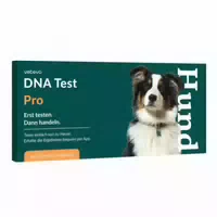 Dna Test Rassebestimmung Pro Hund