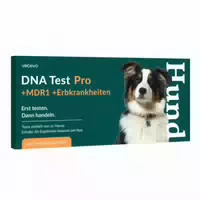 Dna Test Rassebestimmung Mdr1 Hund