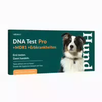 Dna Test Rassebestimmung Pro Mdr1 Erbkrankheiten Hund 1 St