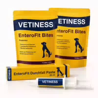 Vetiness Enterofit Darm Set für Hunde