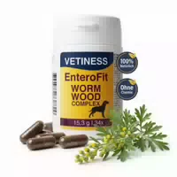 Vetiness Enterofit Wormwood Complex Für Hunde