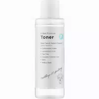 Village 11 Factory P Skin Formula Toner – Klärender Gesichtstoner für Reine Haut