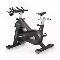 Vision Fitness Ic700 Indoor Cycle Inkl Konsole