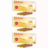 Dr Reckeweg Vita Royal – Trinkfläschchen 12x10 ml