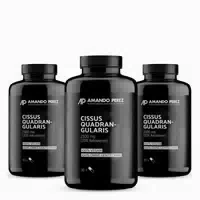Vitabay Cissus Quadrangularis Extrakt 2500 mg 270 st