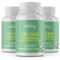 Vitabay Lions Mane Hericium Erinaceus 60 000 Mg 360 St