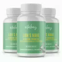 Vitabay Lions Mane Hericium Erinaceus 60 000 mg 540 st