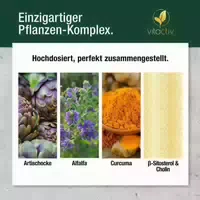 Vitactiv Cholestrosan Formula Cynarin ß Sitosterol