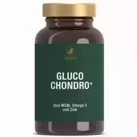 Vitactiv Gluco Chondro Plus