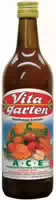 Vitagarten A C E Orange Apfel Karotten Vitamingetränk