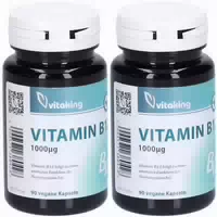 Vitaking Vitamin B12 1000 Μg