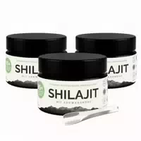 Vitalizenature Shilajit Ashwagandha – Laborgeprüft Vom Prüfengel Institut