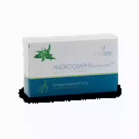 Vitalsee Andrographis Paniculata 300 Extrakt 60 st
