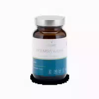 Vitalsee Artemisia Vulgaris 300 90 St