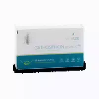 Vitalsee Orthosiphon Aristatus 300 Extrakt 60 St