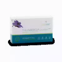 Vitalsee Thunbergia Laurifolia 300 Extrakt 60 St