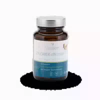 Vitalsee Zingiber Officinale 300 Extrakt