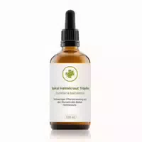 Vitalundfitmit100 Baikal Helmkraut