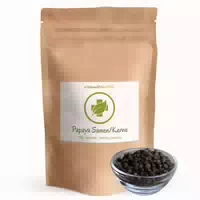 Vitalundfitmit100 Papaya Kerne Samen