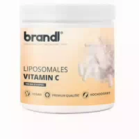 Vitamin C 500 mg Pro Kapsel – Liposomal, Hochdosiert & Rein | Brandl Made In Germany | 120 Stk