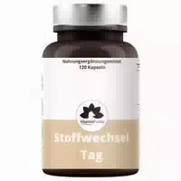 Stoffwechsel Tag Von Vitamin Fuchs