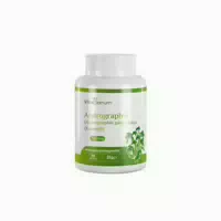 Vitasanum Andrographis Andrographis Paniculata Kalmegh 500 Mg 90 Kapseln 90 St