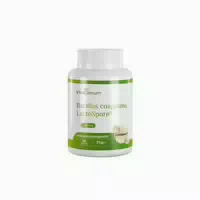 Vitasanum Bacillus Coagulans Lactospore – 150 mg Tagesportion – 60 Kapseln 60 st