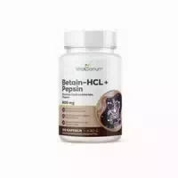 Vitasanum Betain Hcl Pepsin 800 mg – Pro Tagesportion 100 st