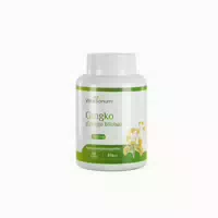 Vitasanum Gingko Ginkgo Biloba 500 mg 60 Kapseln st