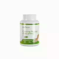 Vitasanum – Ginseng Wurzelextrakt Panax Ginseng C A Meyer – 250 mg – 120 Tabletten 120 st