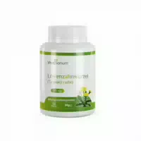 Vitasanum Löwenzahnwurzel Taraxacum Officinale – 1 030 mg Tagesportion 60 st