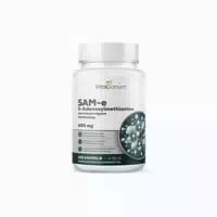 Vitasanum Sam E S Adenosylmethionin 400 mg 100 Kapseln 100 st