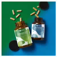 Vitelly Pimp My Sperm Set für einen Monat – mit Cordyceps Man & Mantodad
