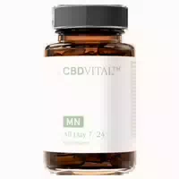 Cbd Vital All Day 7 24 Multivitamin | Basisversorgung 60 st