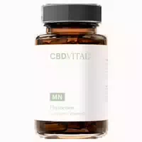 Cbd Vital Phytoeisen | für die Tägliche Eisen Versorgung 60 st