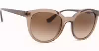 Vogue 0vo 5427s 294013 50