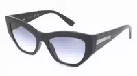 Vogue 0vo5607s