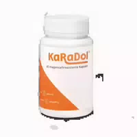 Karadol Magensaftresistente Kapseln 120 st