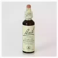 Bach Flowers 29 Stern von Bethlem 20 ml 0,02 l