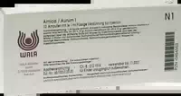 Arnica Aurum I Ampullen 10x1 ml Ampullen
