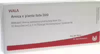 Arnica E Planta Tota D 20 Ampullen 10x1 Ml