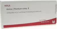 Arnica Plumbum Comp B Ampullen 10x1 Ml