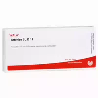 Arteriae Gl D 12 Ampullen