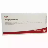 Bryophyllum Comp Ampullen 10x1 Ml Ampullen