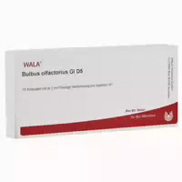 Bulbus Olfactorius Gl D5 Ampullen 10x1 Ml Ampullen