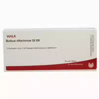 Bulbus Olfactorius Gl D 8 Ampullen 10x1 Ml