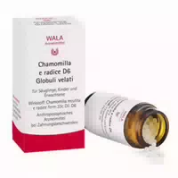 Chamomilla E Radix D 6 Globuli