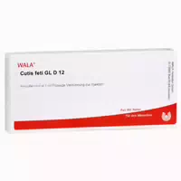 Cutis Feti Gl D 12 Ampullen 10x1 ml